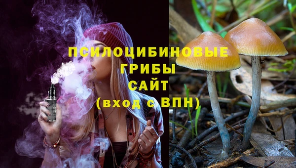скорость Нязепетровск