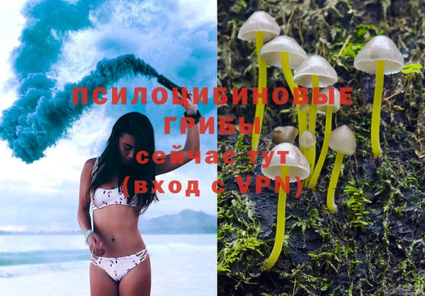 ПСИЛОЦИБИНОВЫЕ ГРИБЫ Баксан
