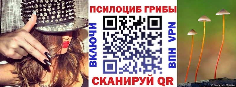 Псилоцибиновые грибы прущие грибы  купить  цена  Беломорск 